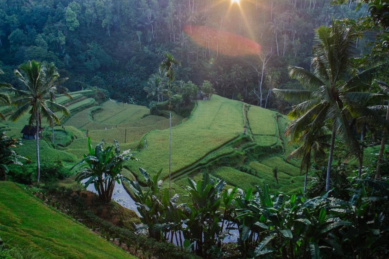 Suarapura Resort & Spa Tegallalang  Exteriér fotografie