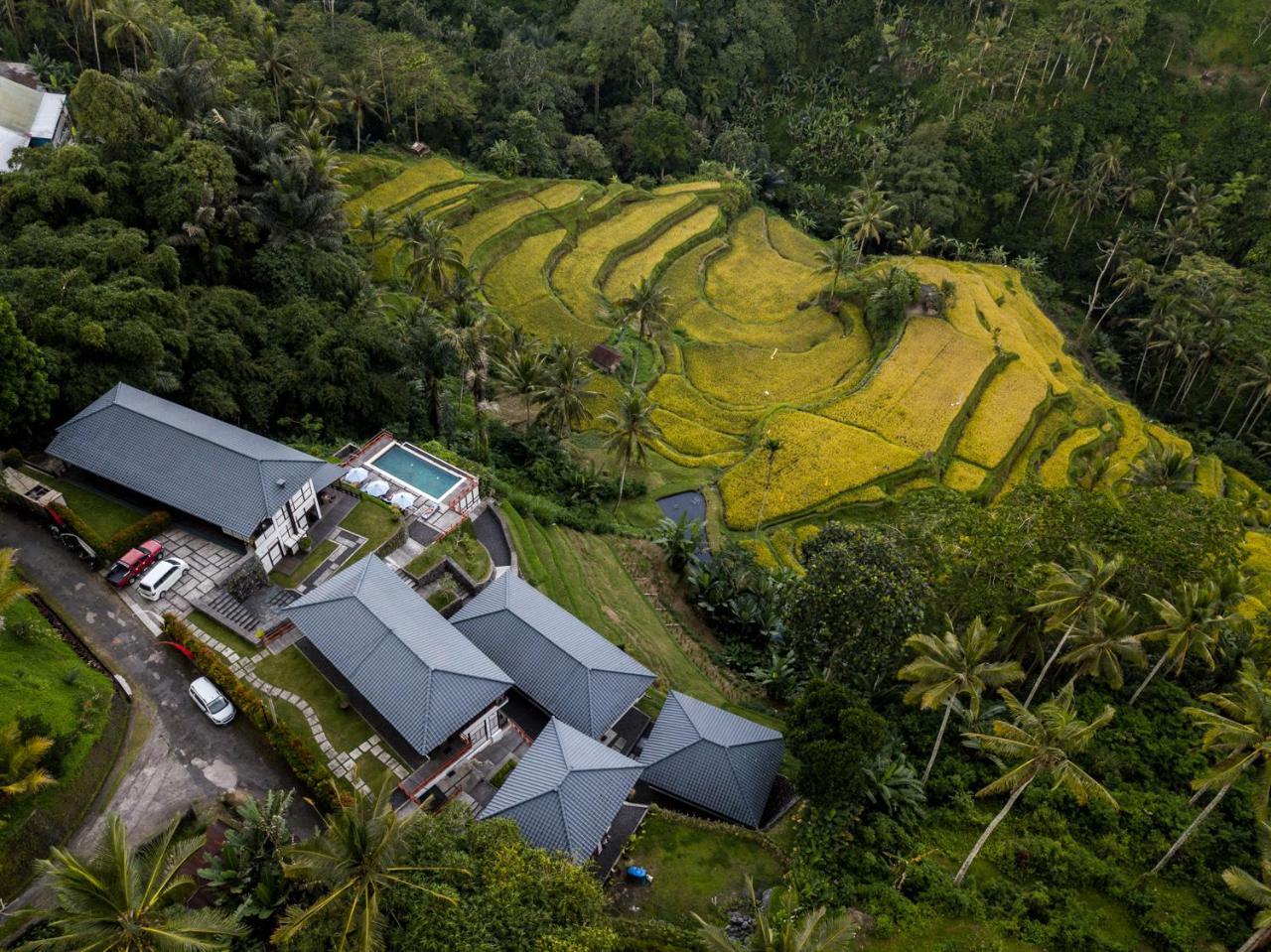 Suarapura Resort & Spa Tegallalang  Exteriér fotografie