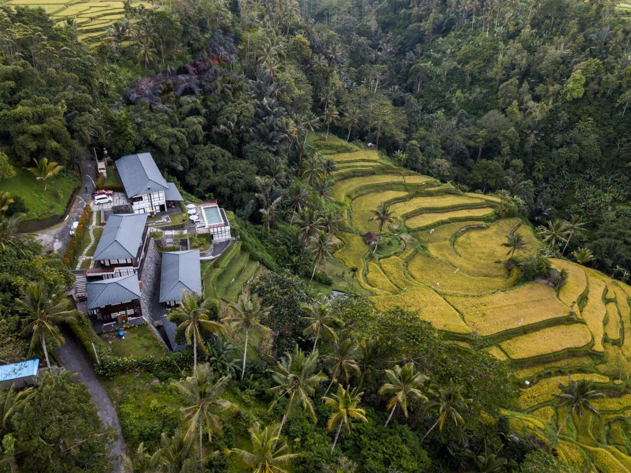 Suarapura Resort & Spa Tegallalang  Exteriér fotografie